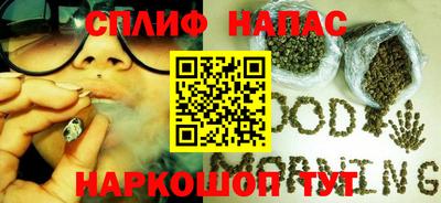 СК Пенза